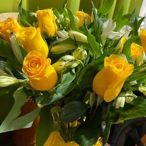 Meet your Posher, Mayra